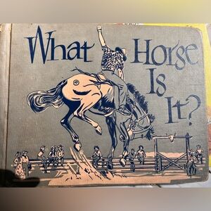 Vintage Illustrated Children's Book - "What Horse Is It?"